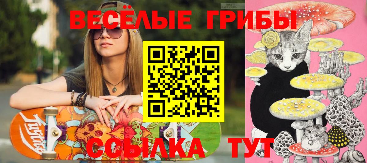 Псилоцибиновые грибы MAGIC MUSHROOMS  продажа наркотиков  Котлас  Вход с VPN  Галлюциногенные грибы Psilocybine cubensis 